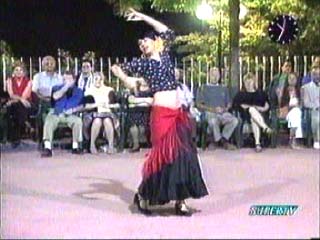 flamenco.jpg (23350 byte)