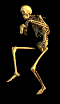 scheletro02.gif (18759 byte)