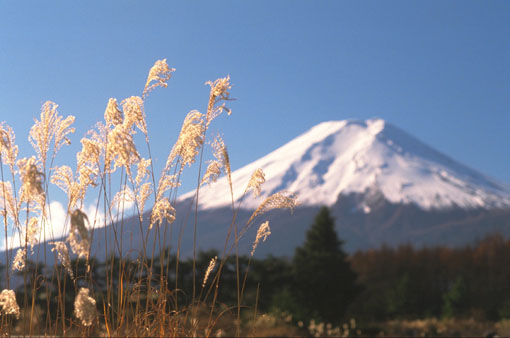 Fuji.jpg (38012 byte)