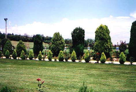 Fontanelle di Montichiari  The Landscape